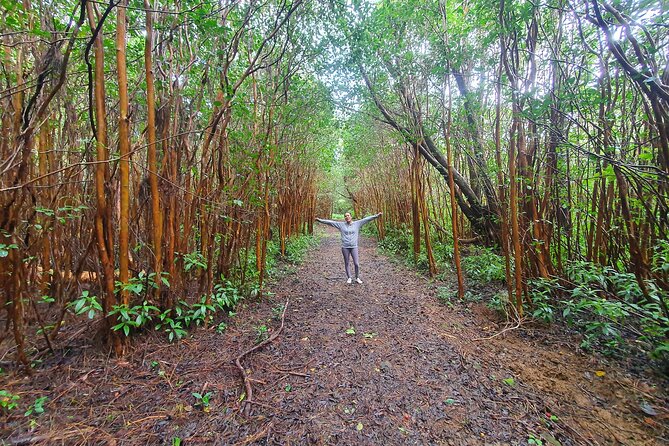 Hiking the Black River Gorges: Full-day with Lunch and Transfer - A private start from your hotel