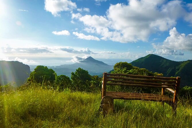 Hiking the Black River Gorges: Full-day with Lunch and Transfer - Who this private outing suits best