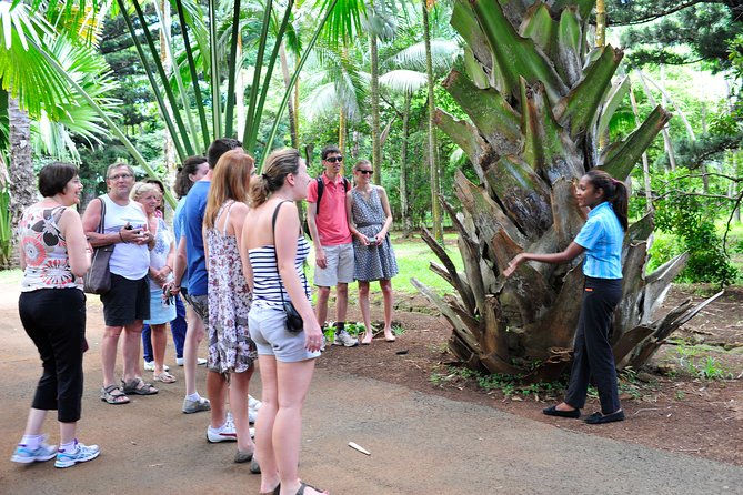 Historical Guided Day Tour : City - Sugar World - Botanical Garden - L’Aventure du Sucre and the story behind the sweet stuff
