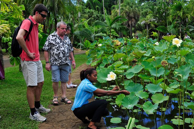 Historical Private Guided Tour, City-SugarWorld-Botanical Garden - Min.2 persons - The value of a private vehicle and guide