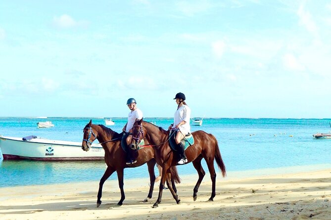 Horse Riding experience by Haras du Morne - What this Haras du Morne experience actually appears to include