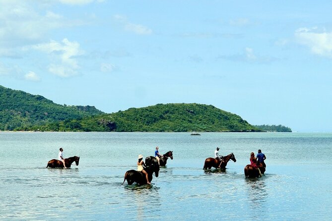 Horse Riding experience by Haras du Morne - Is $103 per person good value?