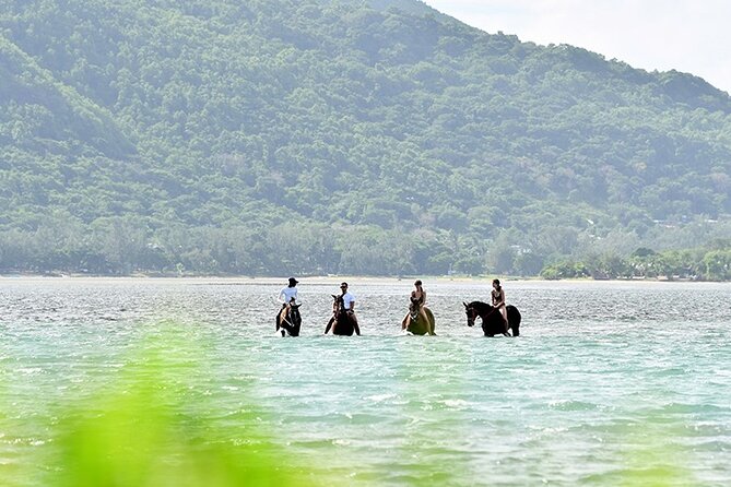 Horse Riding experience by Haras du Morne - Why Le Morne adds more than a scenic backdrop