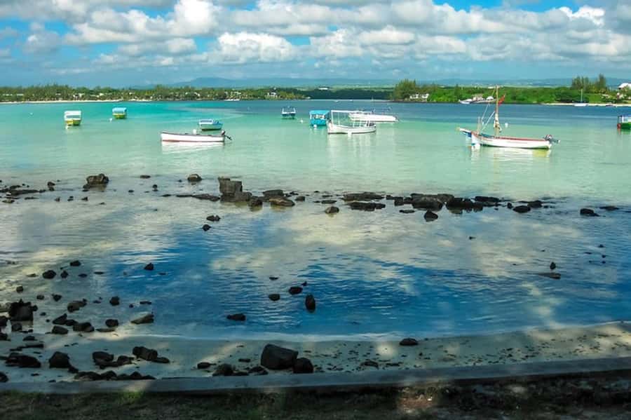 Ile aux Aigrettes Reserve & Blue Bay Glass Bottom Boat - Why Ile aux Aigrettes deserves the first half of your day