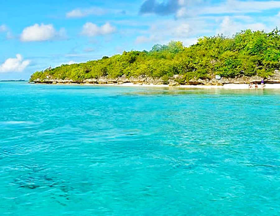Ile aux Aigrettes Reserve & Blue Bay Glass Bottom Boat - Booking tips for a smoother day