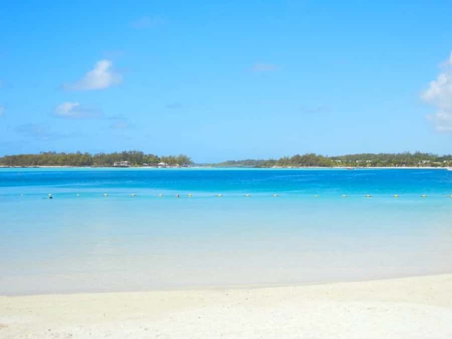 Ile aux Aigrettes Reserve & Blue Bay Glass Bottom Boat - Should you book the Ile aux Aigrettes and Blue Bay tour?