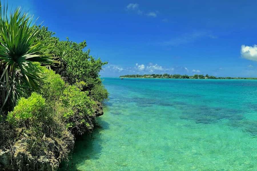 Ile aux Aigrettes Reserve & Blue Bay Glass Bottom Boat - What the ranger-led walk is really like
