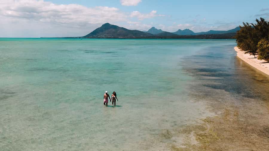 Île aux Bénitiers: Snorkeling w/Dolphins Boat Tour & Lunch - What the $115 price really covers