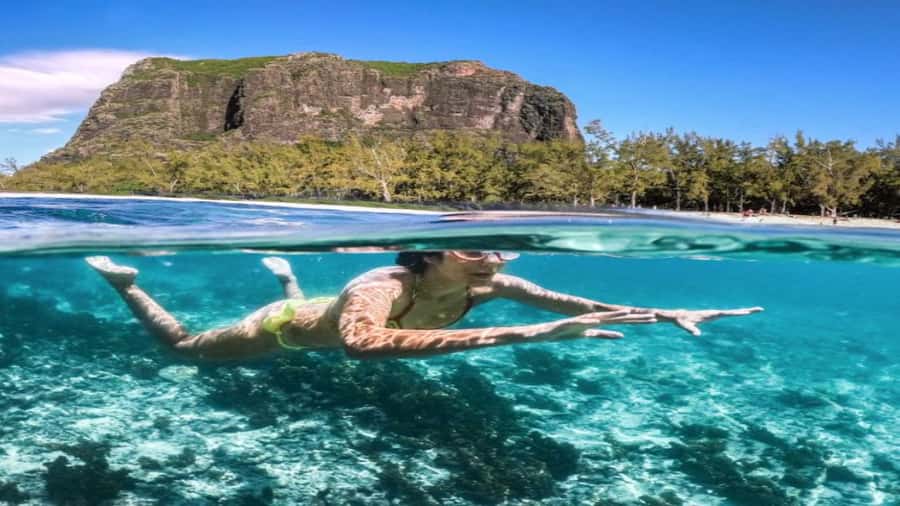 Île aux Bénitiers Snorkeling with Dolphins + Seafood Lunch - What the $80 price really covers