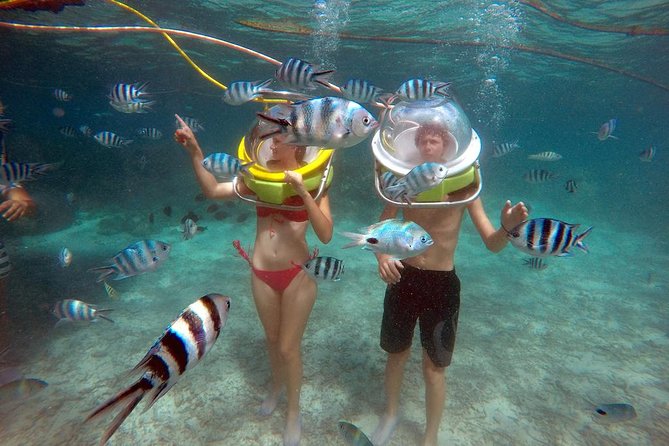 Ile aux Cerf: Speed boat with Parasailing & Tube Riding and Lunch - Undersea walking in the coral reef