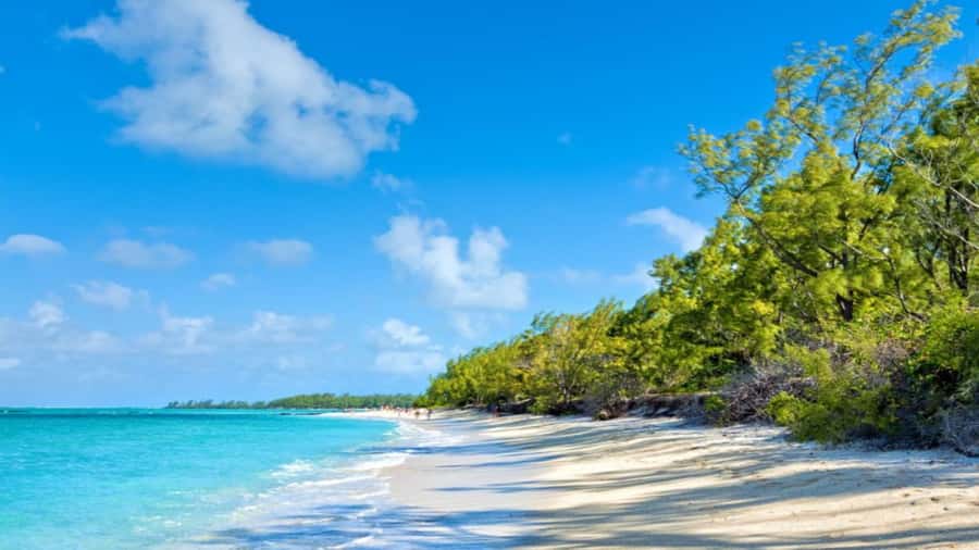 Ile Aux Cerfs Catamaran Cruise & Waterfalls- Lunch & Drinks - Should you book the Ile aux Cerfs cruise?