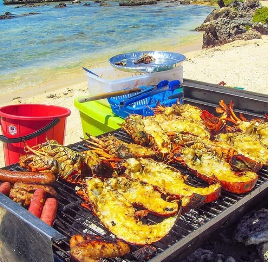 Ile Aux Cerfs Catamaran Cruise with Pick-up/Drop-off & Lunch - Who will enjoy this cruise most