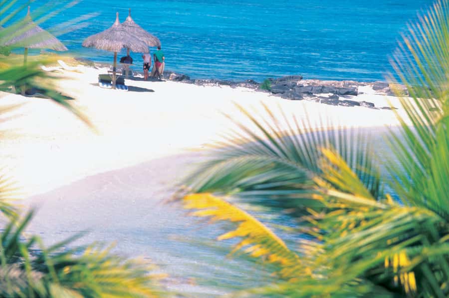 Ile aux Cerfs: Island & Waterfall Speedboat Tour with Lunch - The waterfall at Grand River South East