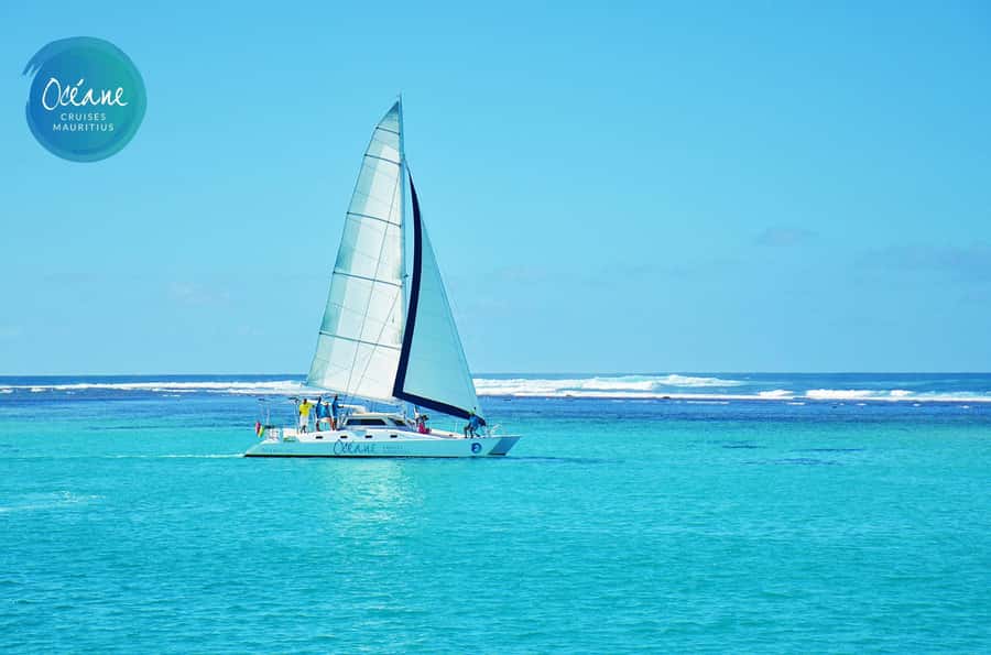 Île aux Cerfs: Private Catamaran Cruise with Gourmet Lunch - Is $1,325 good value?