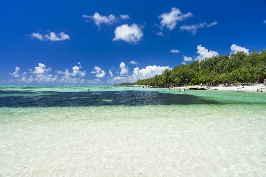 Ile aux Cerfs Speedboat Trip & Transport: Private or Shared - A beach barbecue at Ilot Mangenie