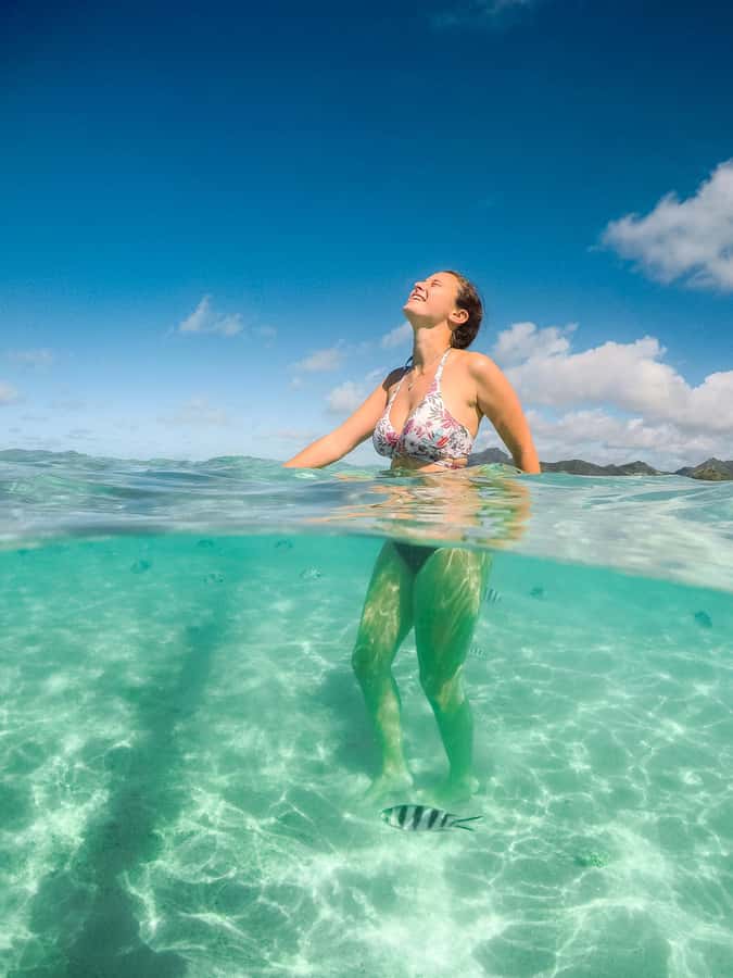 Ile aux Cerfs: The very best day by catamaran. - Grand River South East Waterfall and its wildlife