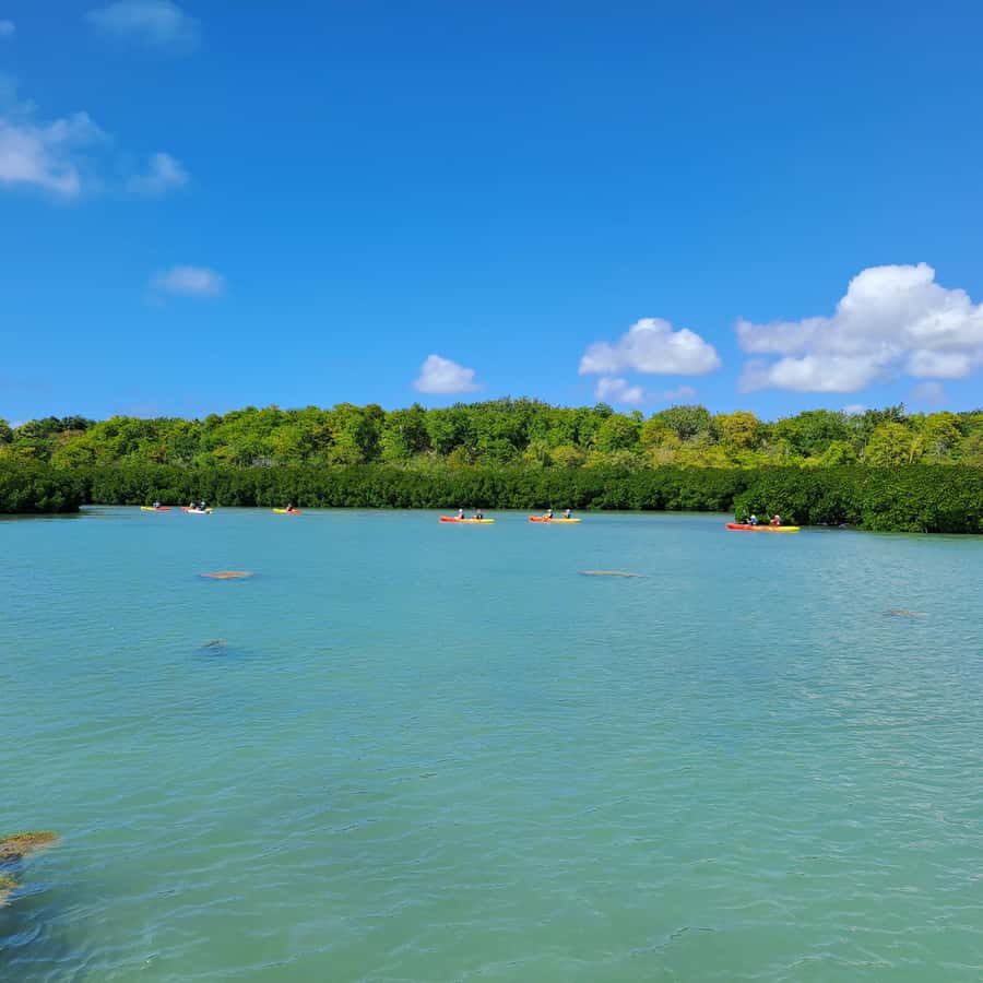 Ile d Ambre Kayaking - Slaloming past pirogues to Ile d’Ambre