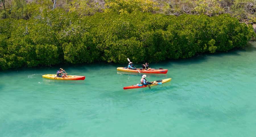 Ile d Ambre Kayaking - Paddling back with a better sense of the island
