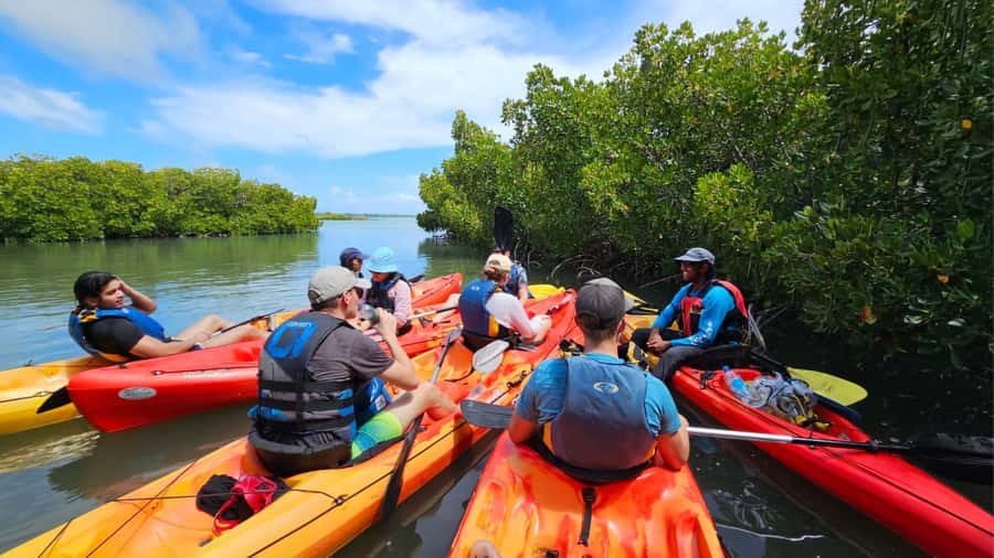 Ile d Ambre Kayaking - Who will enjoy this three-hour outing