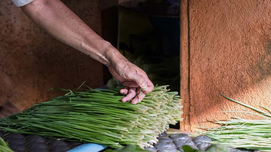 Insta-Worthy City Tour: Unveil Picture-Perfect Spots - Central Market and its strong colors