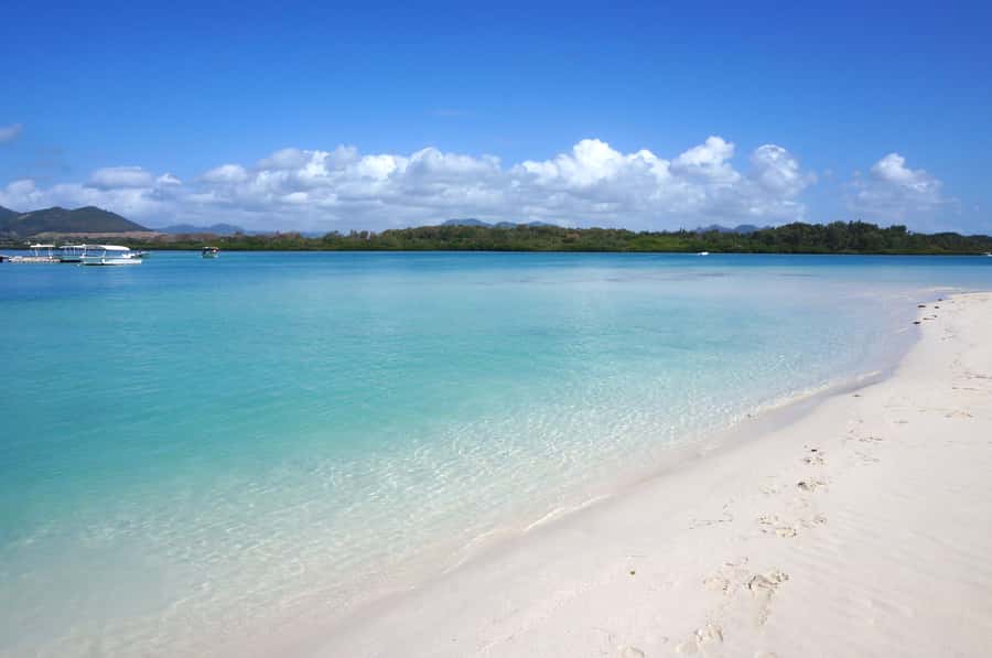 La Preneuse: Dolphin Swimming and Snorkeling Speedboat Trip - Starting at La Preneuse Beach at 7:30 a.m.