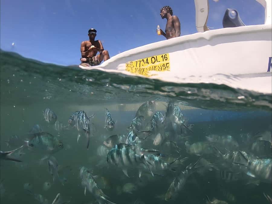 La Preneuse: Dolphin Watching and Snorkeling Speedboat Tour - La Preneuse Beach and the Martello Tower meeting point