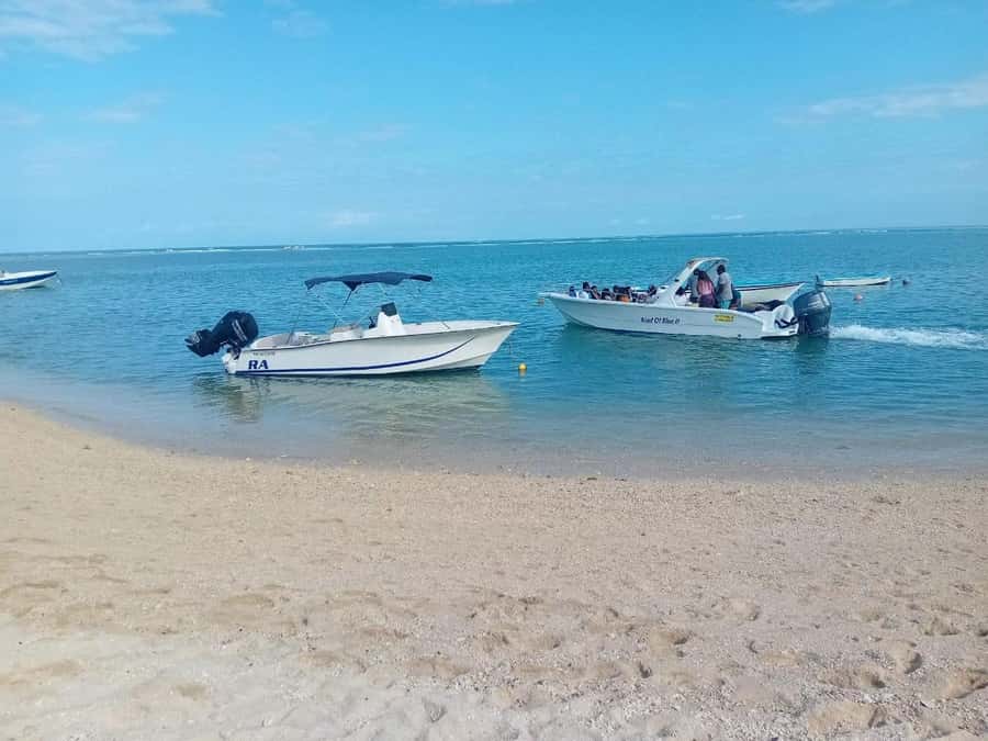 La Preneuse: Dolphin Watching and Snorkeling Speedboat Tour - Who should book this La Preneuse outing?