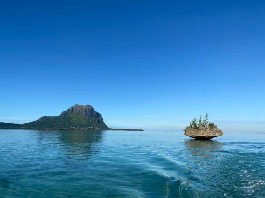 LE MORNE DOLPHINS SUNRISE TRIP - Breakfast near Crystal Rock
