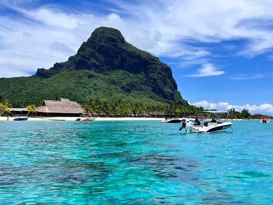 Le Morne: Private Boat Tour Dolphin-Watching & swimming - Who will enjoy this outing most