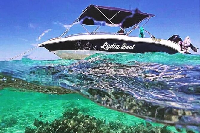 Lydia Boat Mauritius :Private boat tour:Whales&Dolphins encounter - Key points to know before booking