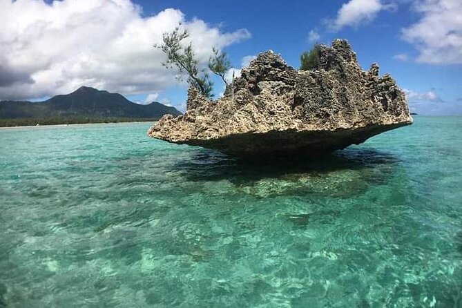 Lydia Boat Mauritius :Private boat tour:Whales&Dolphins encounter - What I would pack and plan