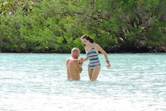 Marvelous Ile aux Cerf island: Speed Boat, Parasailing, Lunch & GRSE waterfall - The Grand River South East waterfall by boat
