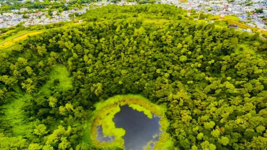 Mauritius: 3 Days Private Authentic Tour with hidden gems - What the guide can add to the day