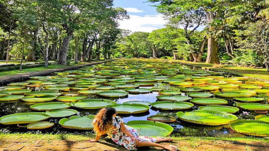 Mauritius: 3 Days Private Authentic Tour with hidden gems - Who will get the most from this tour