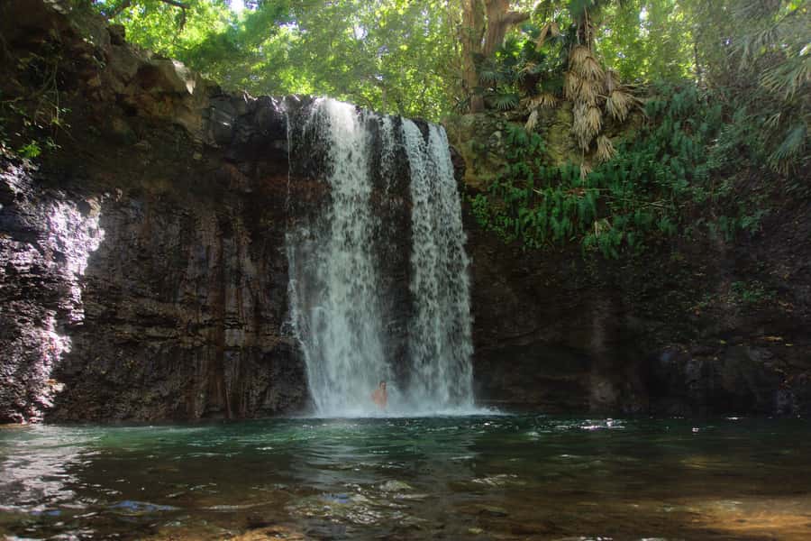 Mauritius: 3-Hour Hiking the Wild South Excursion - Starting at Gris Gris Public Beach