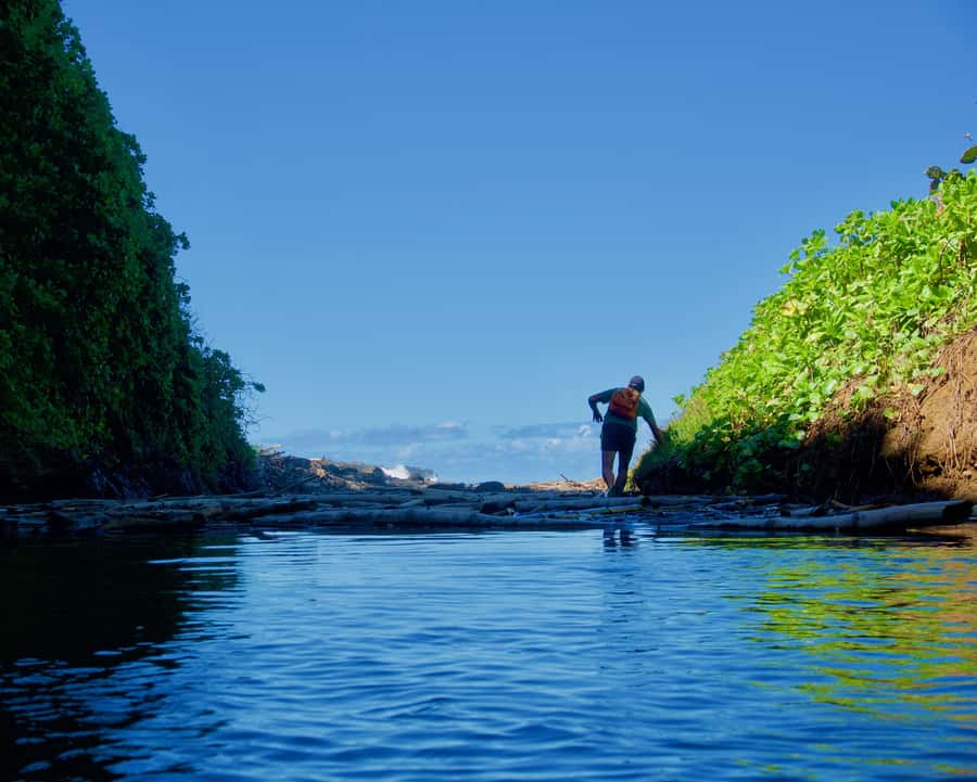 Mauritius: 3-Hour Hiking the Wild South Excursion - Waterfalls, rivers, and natural pools