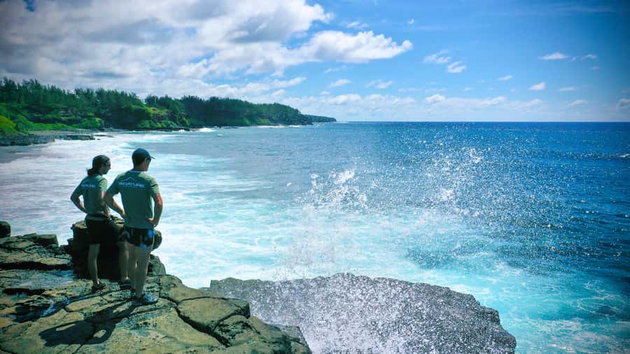 Mauritius: 3-Hour Hiking the Wild South Excursion - The coast near Gris Gris