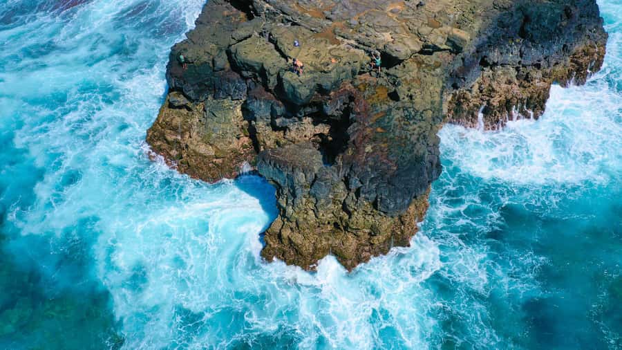 Mauritius: 3-Hour Hiking the Wild South Excursion - Walking from forest to beach