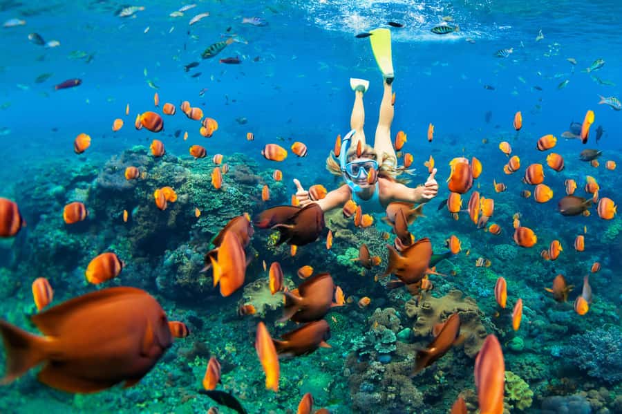 Mauritius: 5 East Coast Islands Tour with Snorkeling & Lunch - Starting at Trou d’Eau Douce