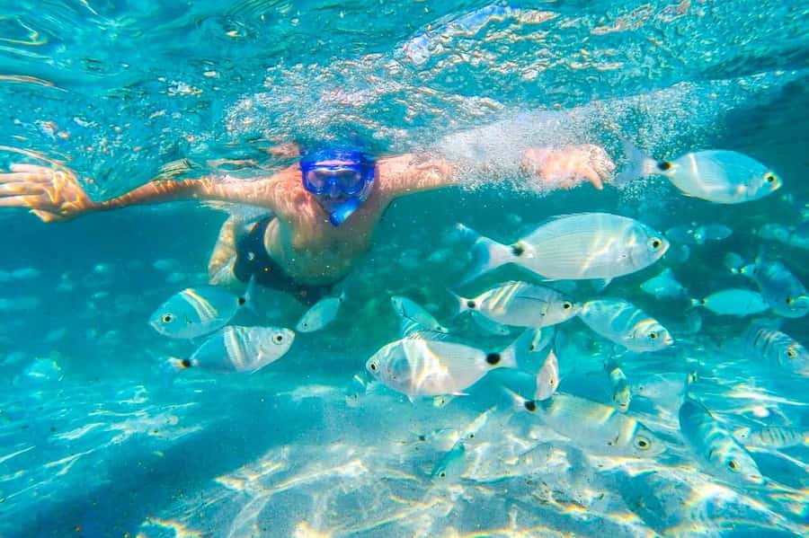 Mauritius: 5 East Coast Islands Tour with Snorkeling & Lunch - What the speedboat feels like
