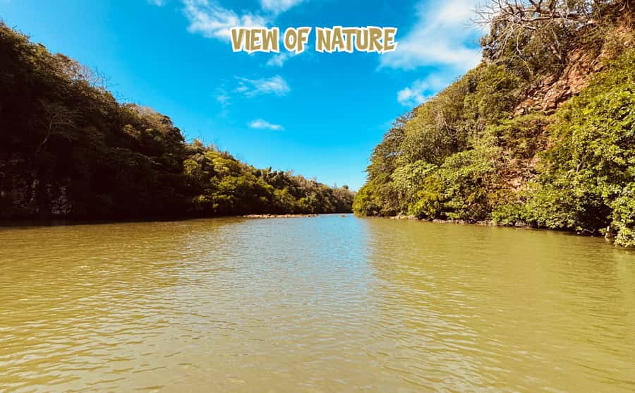 Mauritius: 5 Islands of the East Speedboat Tour with BBQ - Guides, group size, and the feel on board