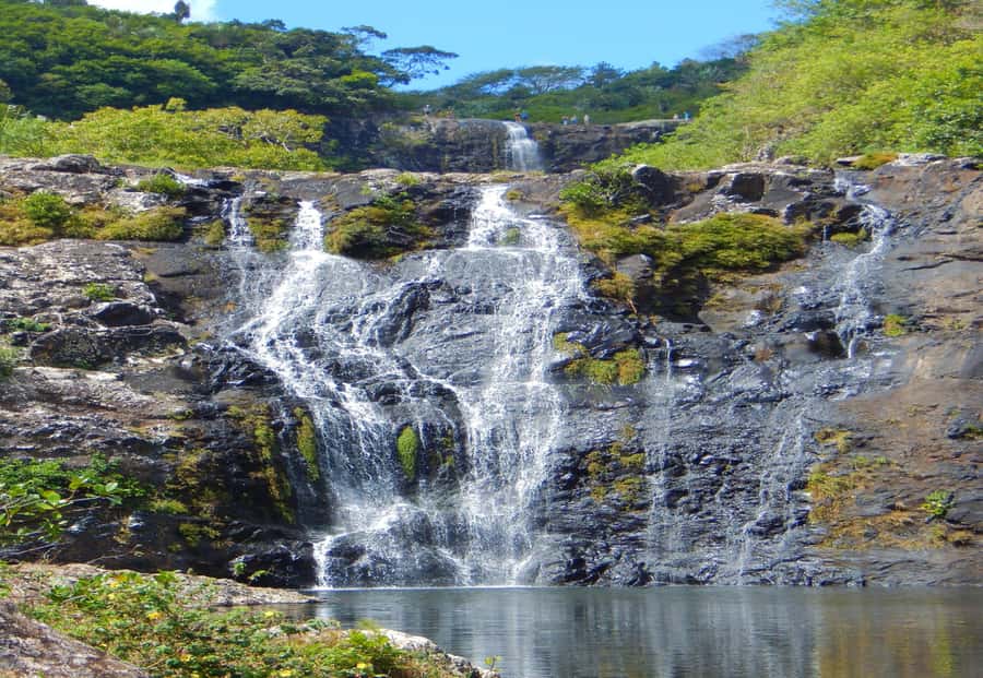 Mauritius: 7 Waterfalls Hike with Lunch and Hotel Transfers - Plants, birds, and the volcanic setting