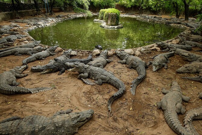 Mauritius Adventure tour - La Vanille Nature Park adds a different kind of visit