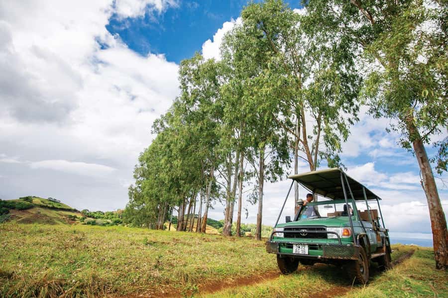Mauritius: Bel Ombre Nature Reserve 4x4 Safari Adventure - Key points to know before you book