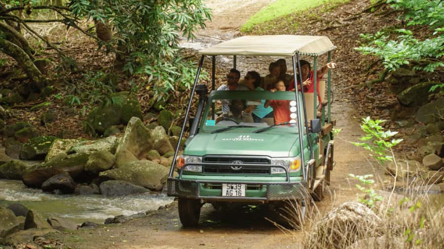 Mauritius: Bel Ombre Nature Reserve 4x4 Safari Adventure - The first 4x4 tracks through the reserve