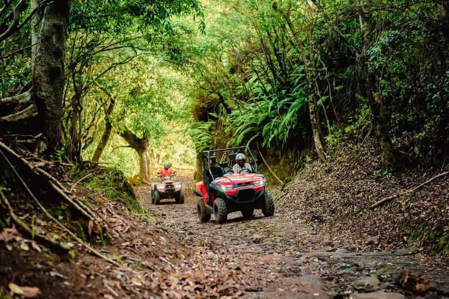 Mauritius: Bel Ombre Nature Reserve Quad Bike Tour - What the guides add to the ride