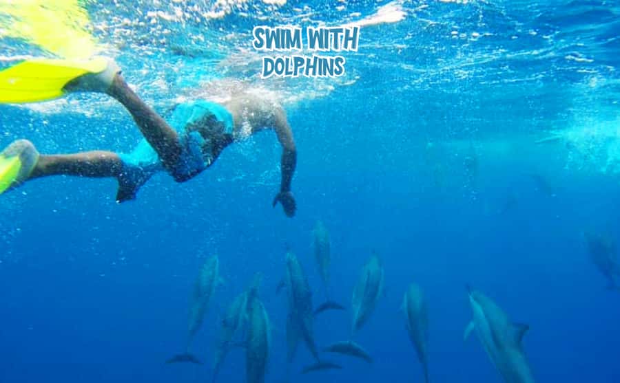 Mauritius: Benitier Island - Swim Dolphins - Speedboat & BBQ - Key points to know before you book