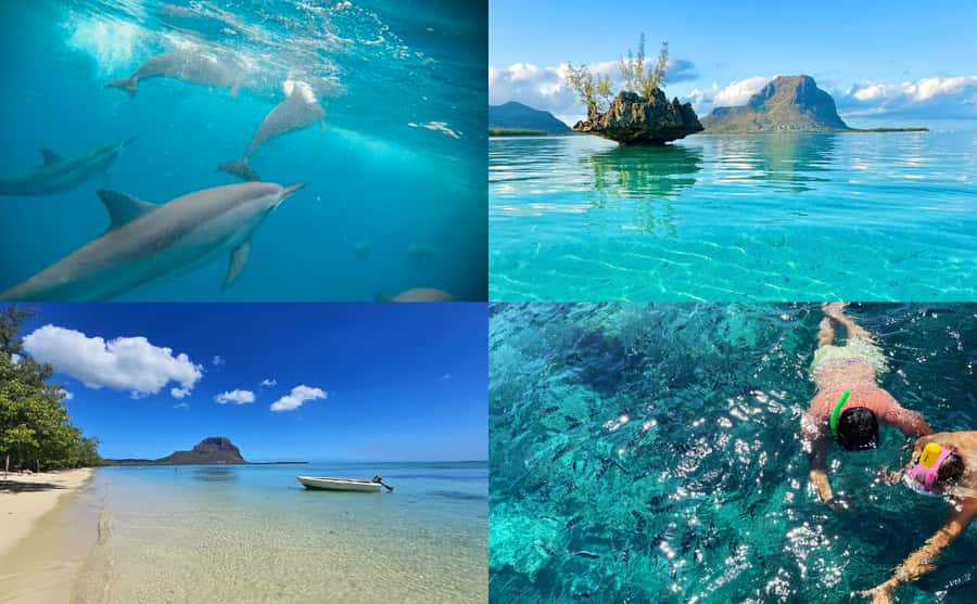 Mauritius: Benitier Island - Swim Dolphins - Speedboat & BBQ - Snorkeling near La Preneuse and Crystal Rock