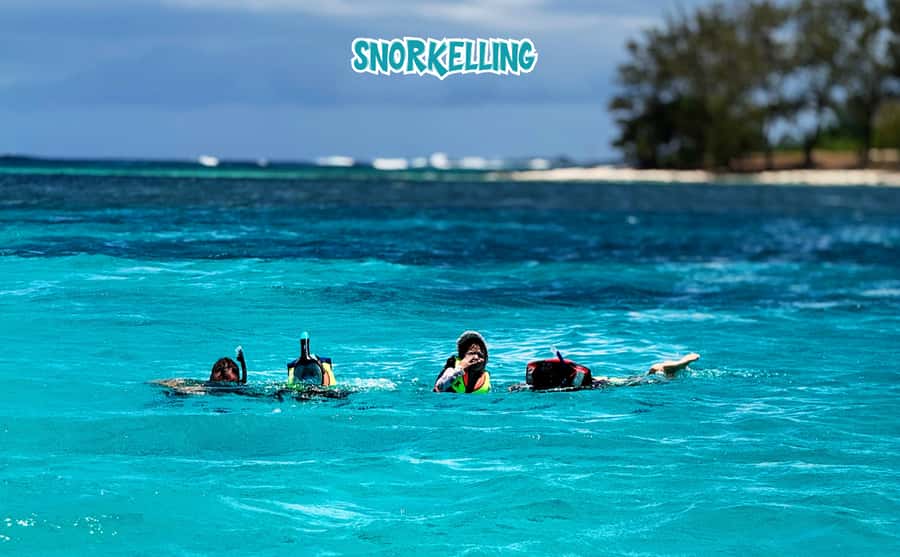 Mauritius: Benitier Island - Swim Dolphins - Speedboat & BBQ - Benitier Island, lunch and free time