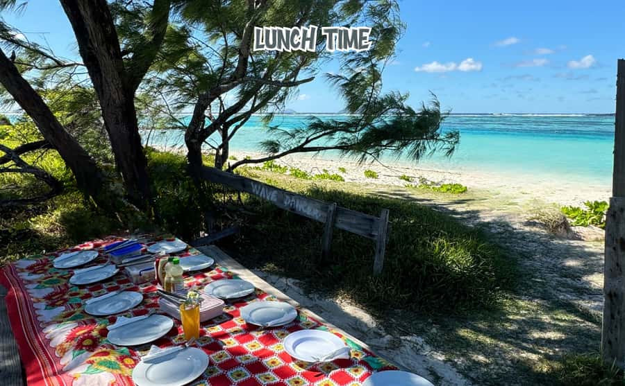 Mauritius: Benitier Island - Swim Dolphins - Speedboat & BBQ - Speedboat comfort and group size